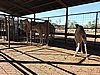 DSCN5935.JPG