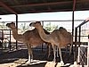 DSCN5936.JPG