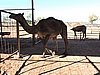 DSCN5937.JPG