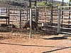 DSCN5938.JPG