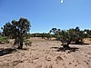 DSCN5942.JPG