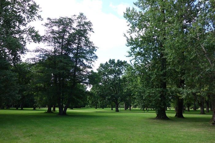DSC09027.JPG