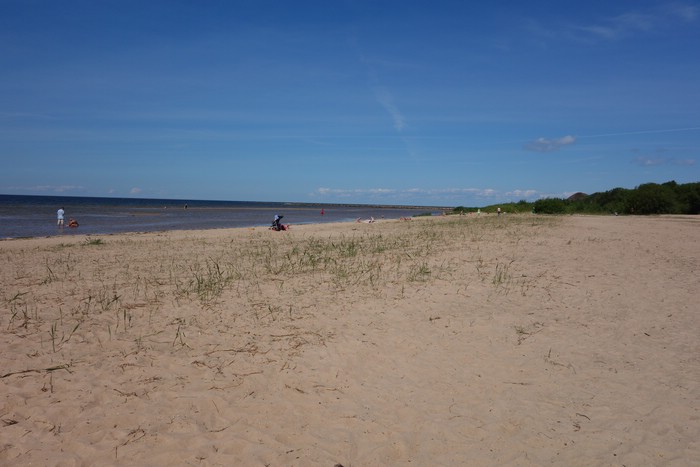 DSC09036.JPG