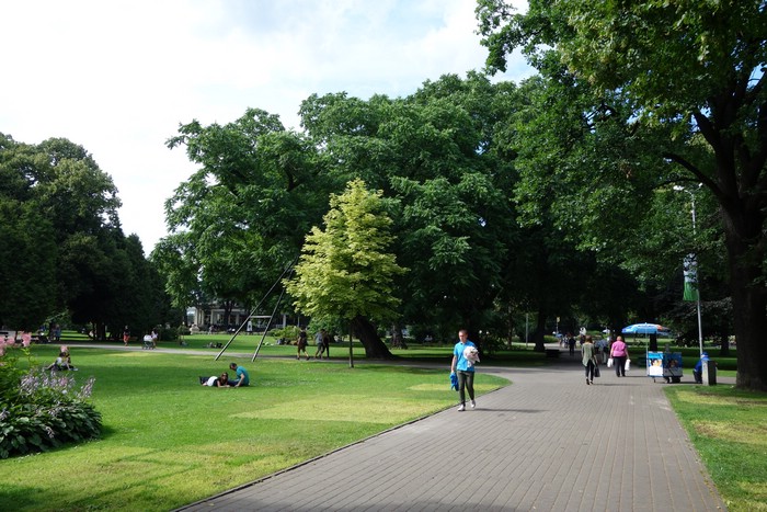 DSC09041.JPG
