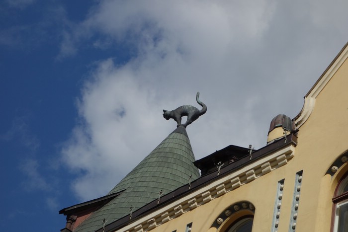 DSC09135.JPG