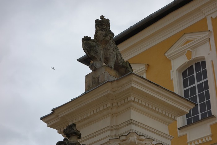 DSC09268.JPG