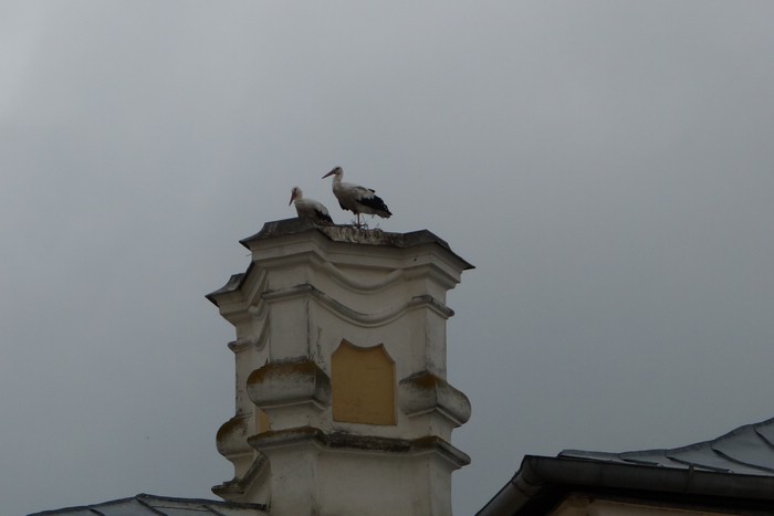 DSC09274.JPG