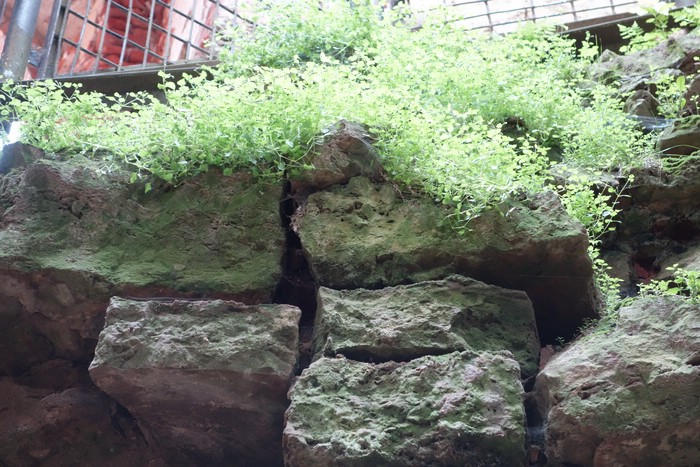 DSC09305.JPG