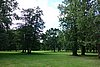 DSC09027.JPG