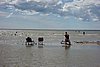 DSC09031.JPG