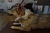 DSC09104.JPG
