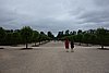 DSC09246.JPG