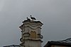 DSC09274.JPG