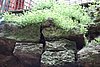 DSC09305.JPG