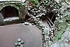 DSC09307.JPG