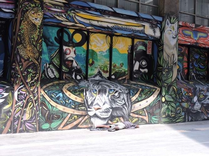 DSCN6331.JPG