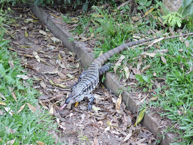 DSCN6535.JPG