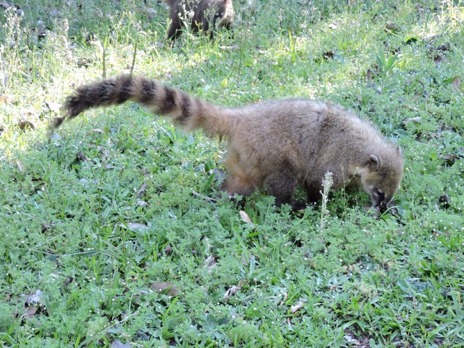 DSCN6544.JPG