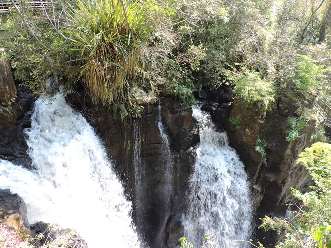 DSCN6556.JPG