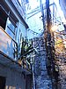 DSCN6135.JPG