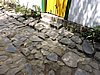 DSCN6302.JPG