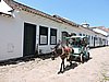 DSCN6303.JPG