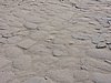 DSCN6320.JPG