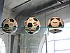 DSCN6423.JPG
