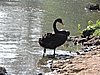 DSCN6470.JPG