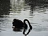 DSCN6471.JPG