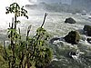 DSCN6522.JPG
