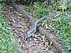 DSCN6535.JPG