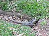 DSCN6538.JPG