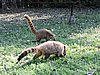 DSCN6540.JPG