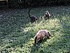 DSCN6542.JPG