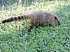 DSCN6543.JPG
