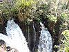 DSCN6556.JPG