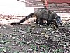 DSCN6577.JPG