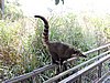 DSCN6594.JPG