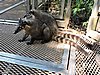 DSCN6596.JPG