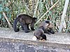 DSCN6598.JPG