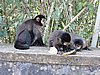 DSCN6599.JPG