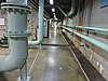 DSCN6648.JPG