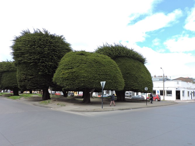 DSCN7877.JPG