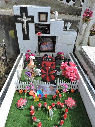 DSCN7903.JPG