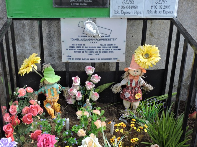 DSCN7904.JPG