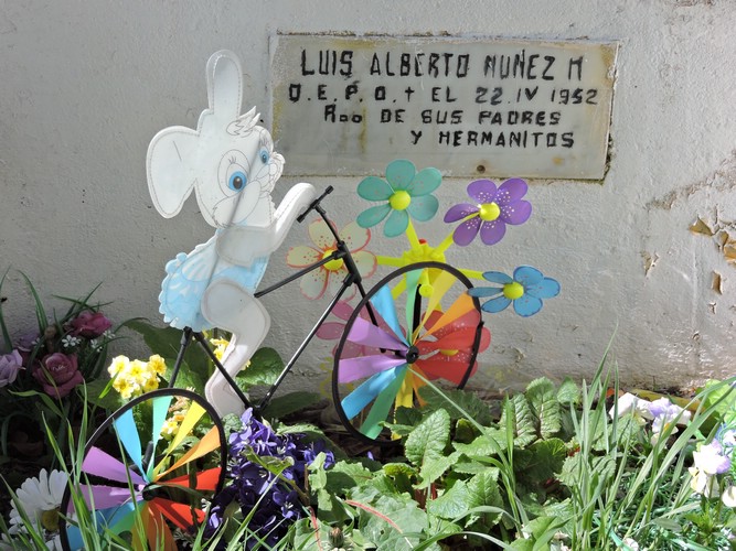 DSCN7908.JPG