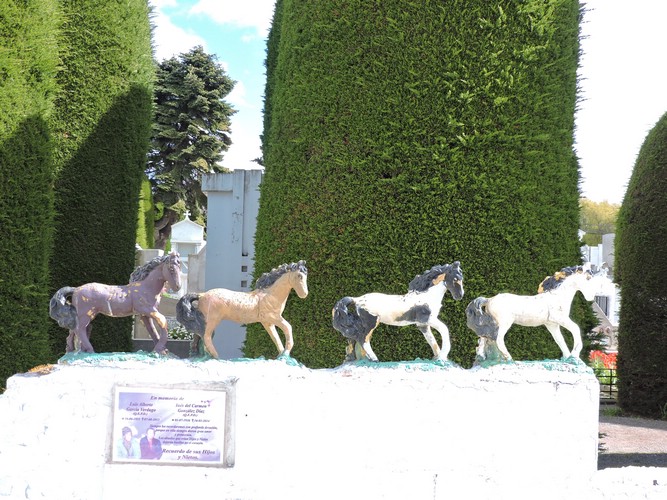 DSCN7909.JPG