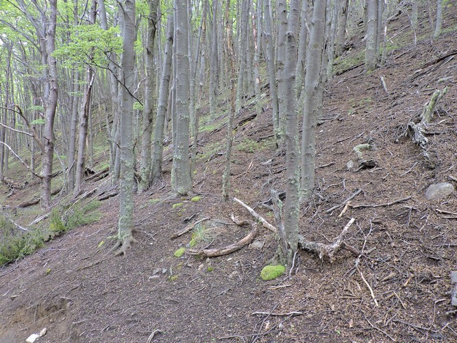 DSCN7938.JPG