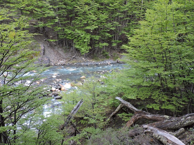 DSCN7939.JPG